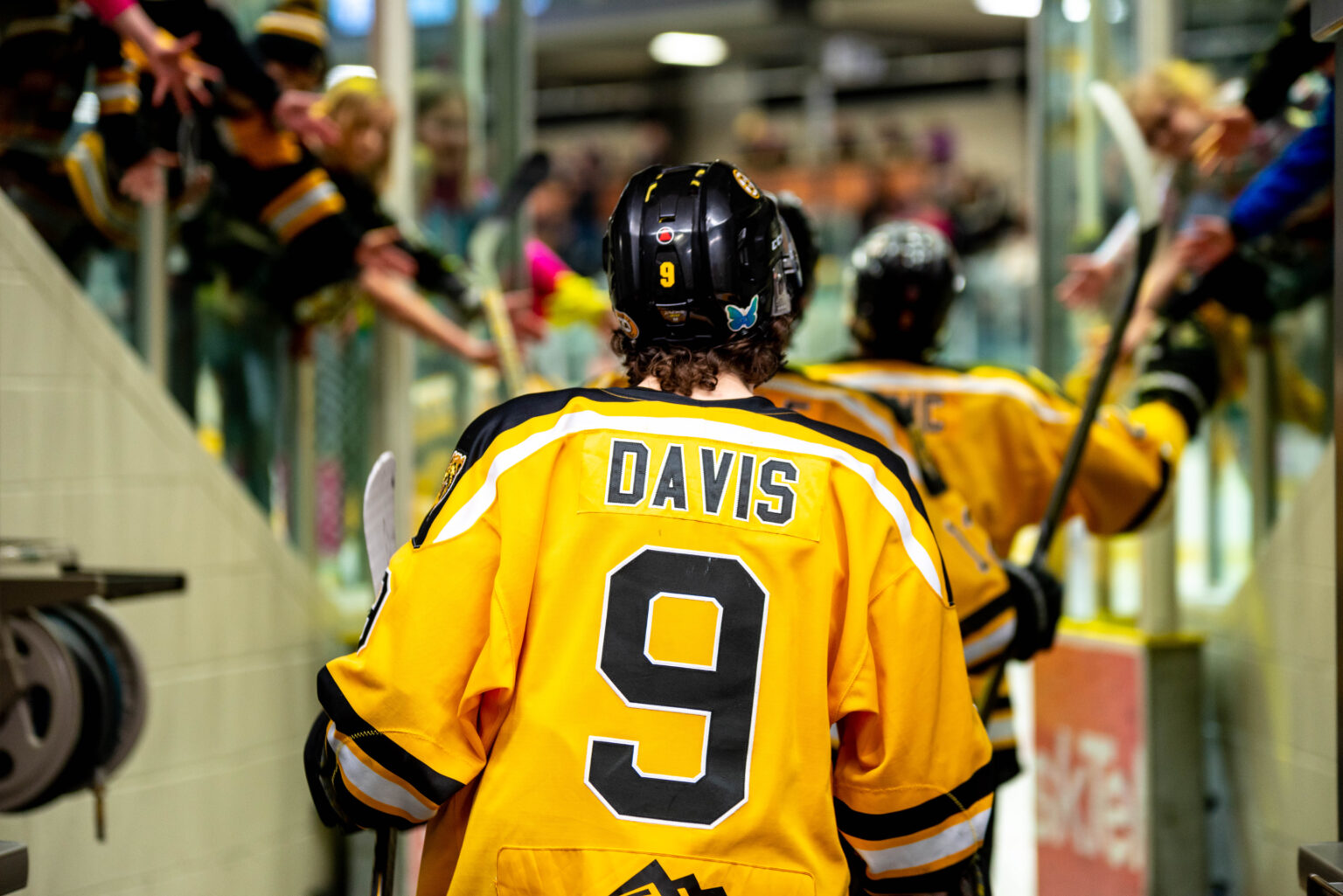 CODY DAVIS COMMITS TO NAIT OOKS Saskatchewan Junior Hockey