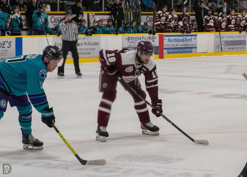 www.sjhl.ca