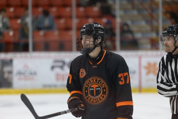 Lanigan winner helps Terriers sink Ice Wolves