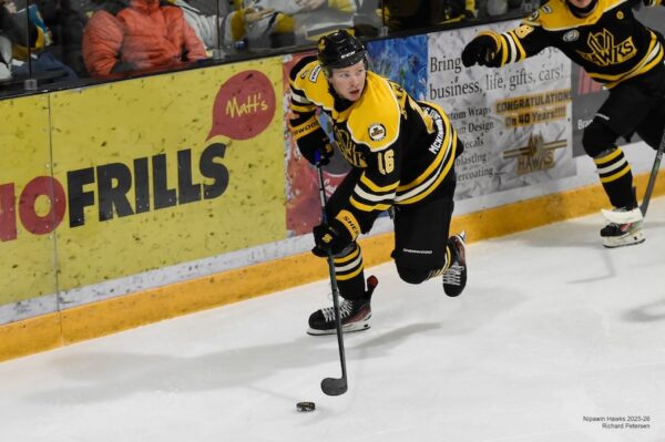 Karakochuk, Hoiness lead Hawks past Ice Wolves