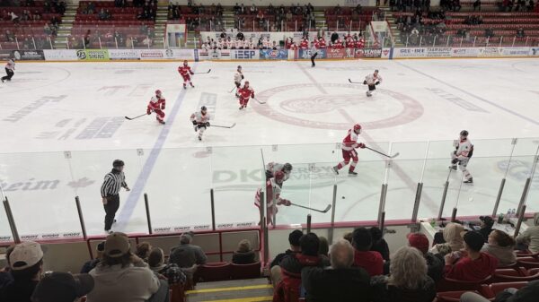 Pearce, Rocha lead Red Wings to win vs. Terriers