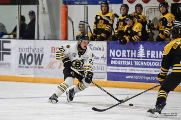 Bruins’ Andrews commits to Augustana (ACAC)