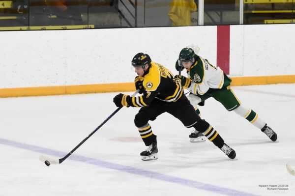 Hawks’ Hoiness commits to Regina (USports)
