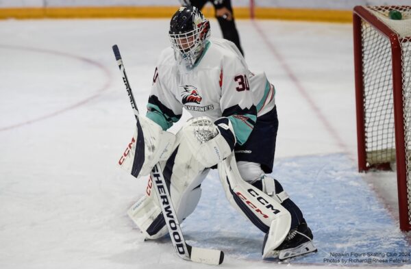 Brunen shines, Wolverines blank North Stars