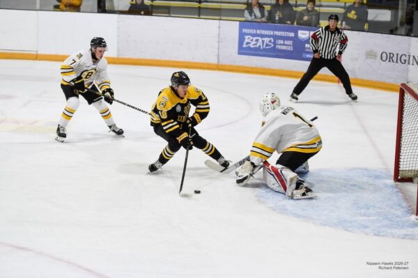 WEDNESDAY RECAP: Janzen, Park lift Hawks past Bruins